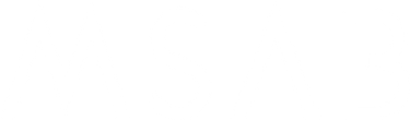 MSAB logo white